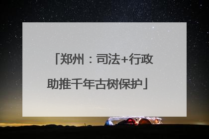 郑州：司法+行政助推千年古树保护