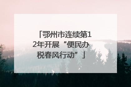 鄂州市连续第12年开展“便民办税春风行动”
