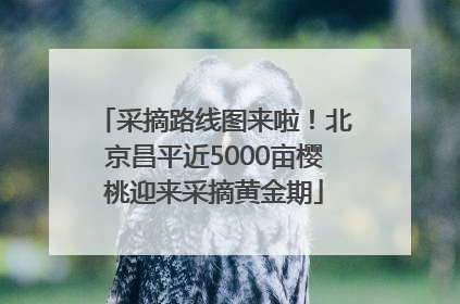 采摘路线图来啦！北京昌平近5000亩樱桃迎来采摘黄金期