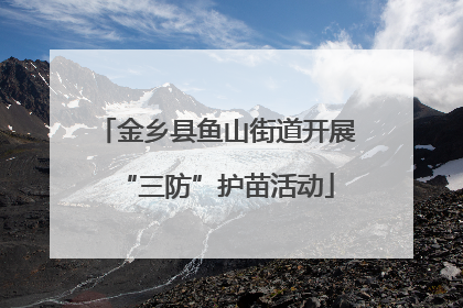 金乡县鱼山街道开展“三防”护苗活动