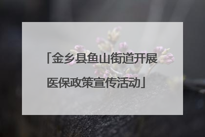 金乡县鱼山街道开展医保政策宣传活动