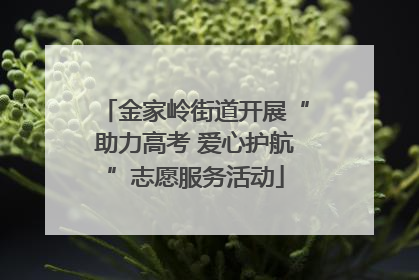金家岭街道开展“助力高考 爱心护航”志愿服务活动