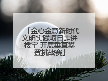 金心金意新时代文明实践项目走进楼宇 开展垂直攀登挑战赛