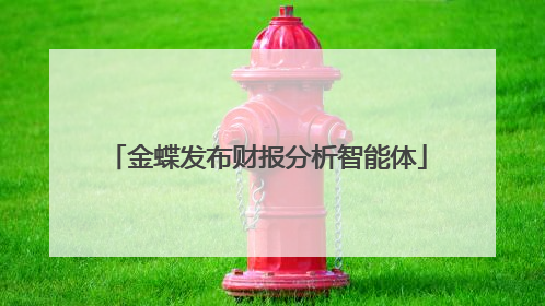 金蝶发布财报分析智能体