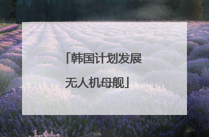 韩国计划发展无人机母舰