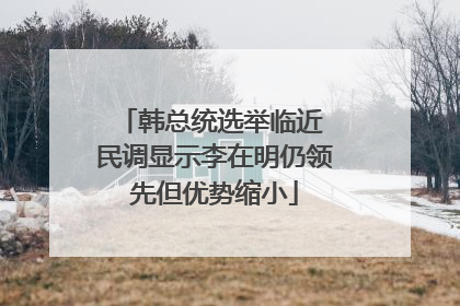 韩总统选举临近 民调显示李在明仍领先但优势缩小