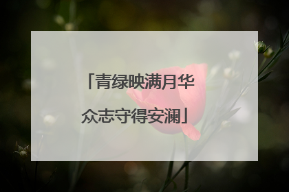 青绿映满月华 众志守得安澜