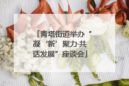 青塔街道举办“凝‘新’聚力·共话发展”座谈会