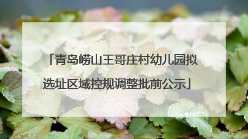 青岛崂山王哥庄村幼儿园拟选址区域控规调整批前公示