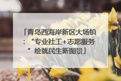 青岛西海岸新区大场镇：“专业社工+志愿服务”绘就民生新图景