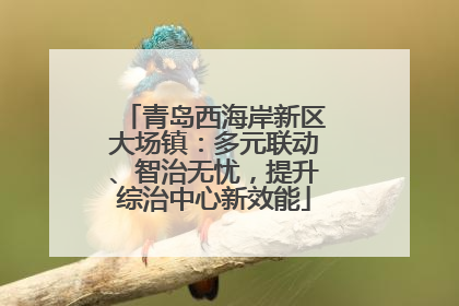 青岛西海岸新区大场镇：多元联动、智治无忧，提升综治中心新效能