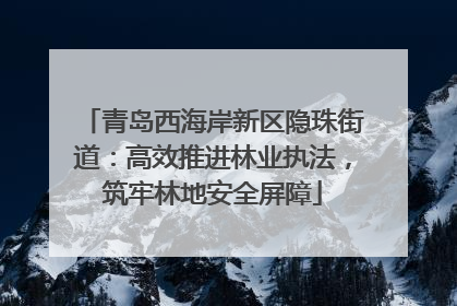 青岛西海岸新区隐珠街道：高效推进林业执法，筑牢林地安全屏障