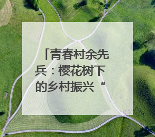 青春村余先兵：樱花树下的乡村振兴“领航人”｜先锋引领⑪
