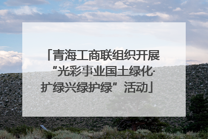 青海工商联组织开展“光彩事业国土绿化·扩绿兴绿护绿”活动