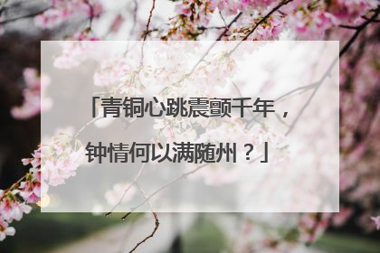 青铜心跳震颤千年，钟情何以满随州？