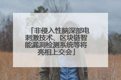 非侵入性脑深部电刺激技术、区块链智能漏洞检测系统等将亮相上交会