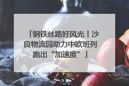 钢铁丝路好风光丨沙良物流园助力中欧班列跑出“加速度”