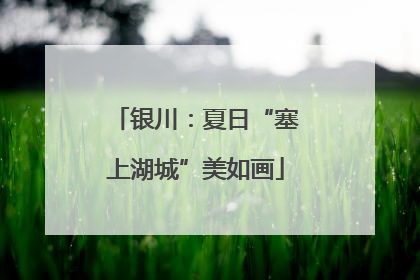 银川：夏日“塞上湖城”美如画