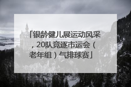 银龄健儿展运动风采，20队竞逐市运会（老年组）气排球赛