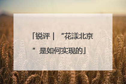 锐评｜“花漾北京”是如何实现的