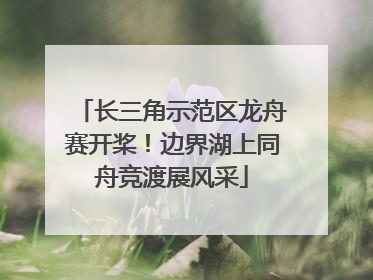 长三角示范区龙舟赛开桨！边界湖上同舟竞渡展风采