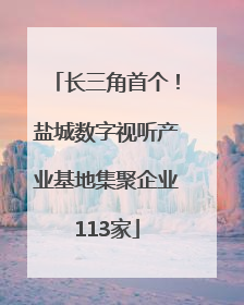 长三角首个！盐城数字视听产业基地集聚企业113家