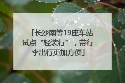 长沙南等19座车站试点“轻装行”，带行李出行更加方便