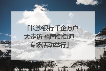 长沙银行千企万户大走访·裕南街街道专场活动举行