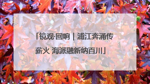镜观·回响｜浦江奔涌传薪火 海派融新纳百川