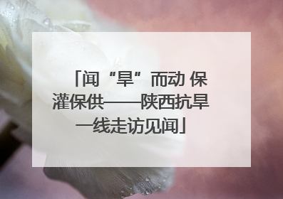 闻“旱”而动 保灌保供——陕西抗旱一线走访见闻