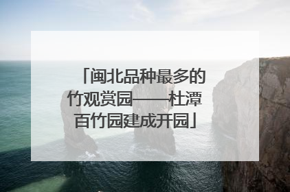 闽北品种最多的竹观赏园——杜潭百竹园建成开园