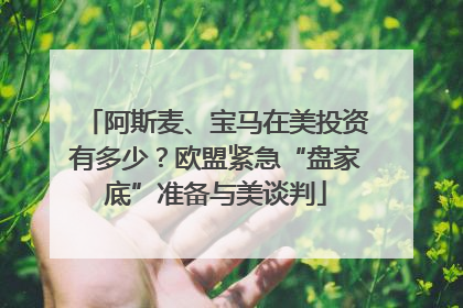 阿斯麦、宝马在美投资有多少？欧盟紧急“盘家底”准备与美谈判