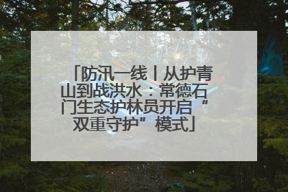 防汛一线丨从护青山到战洪水：常德石门生态护林员开启“双重守护”模式