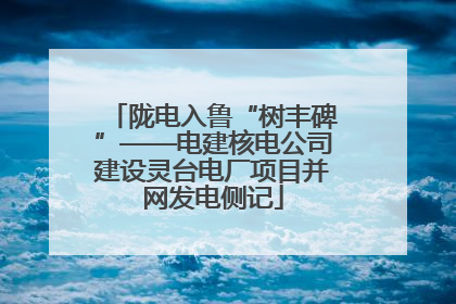 陇电入鲁“树丰碑”——电建核电公司建设灵台电厂项目并网发电侧记