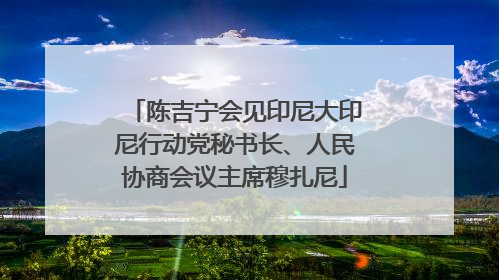 陈吉宁会见印尼大印尼行动党秘书长、人民协商会议主席穆扎尼
