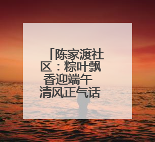 陈家渡社区：粽叶飘香迎端午 清风正气话清廉