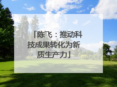 陈飞：推动科技成果转化为新质生产力
