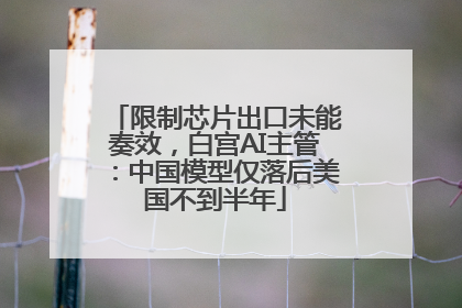 限制芯片出口未能奏效，白宫AI主管：中国模型仅落后美国不到半年