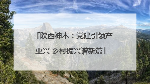 陕西神木：党建引领产业兴 乡村振兴谱新篇