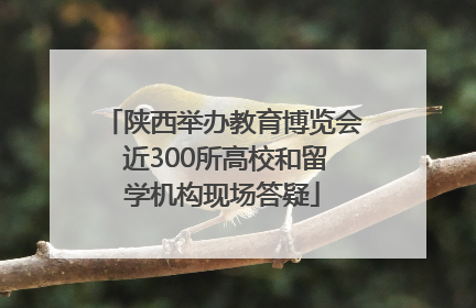 陕西举办教育博览会 近300所高校和留学机构现场答疑