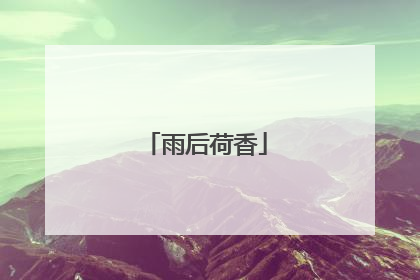 雨后荷香
