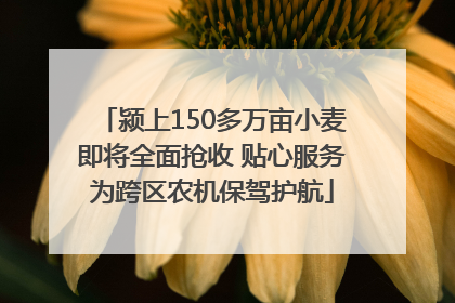 颍上150多万亩小麦即将全面抢收 贴心服务为跨区农机保驾护航