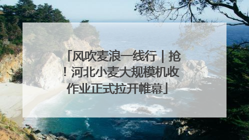 风吹麦浪一线行｜抢！河北小麦大规模机收作业正式拉开帷幕
