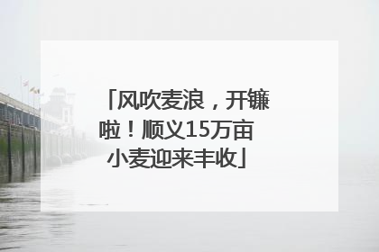 风吹麦浪，开镰啦！顺义15万亩小麦迎来丰收