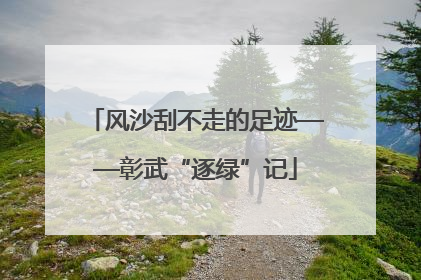 风沙刮不走的足迹——彰武“逐绿”记