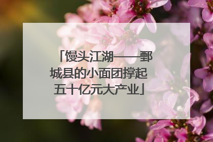 馒头江湖——鄄城县的小面团撑起五十亿元大产业