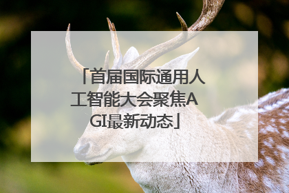 首届国际通用人工智能大会聚焦AGI最新动态