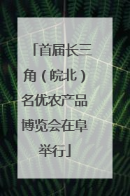 首届长三角（皖北）名优农产品博览会在阜举行