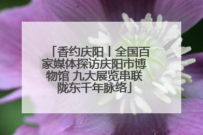香约庆阳丨全国百家媒体探访庆阳市博物馆 九大展览串联陇东千年脉络