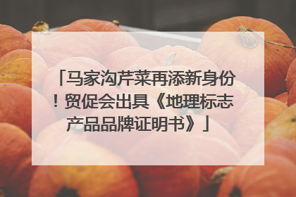 马家沟芹菜再添新身份！贸促会出具《地理标志产品品牌证明书》
